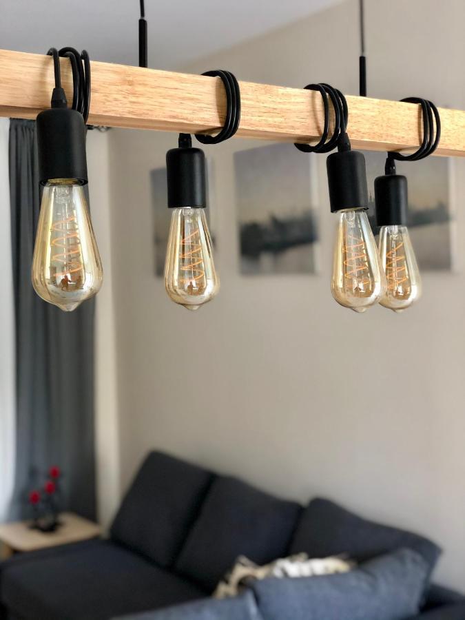 Apartament Luxury Industrial House 8